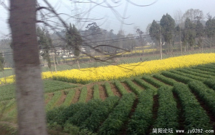 201103179072.jpg