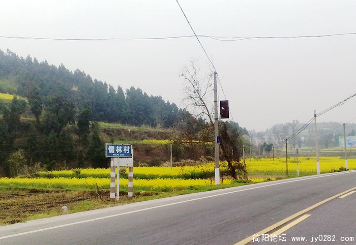 201103169043.jpg