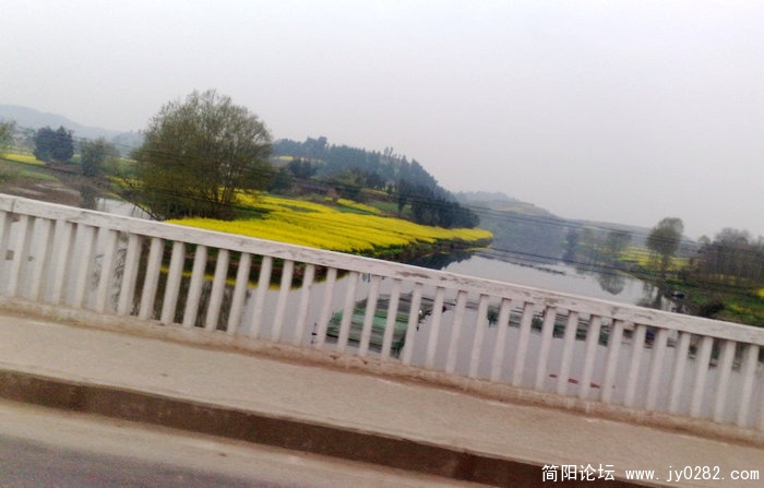 201103169041.jpg