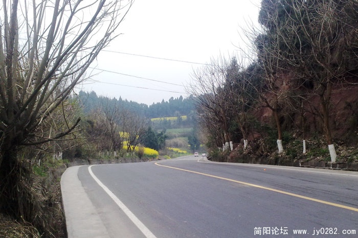 201103169048.jpg