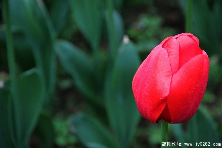 IMG_2178.jpg