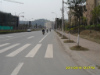 路边.jpg