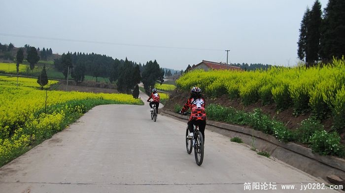 IMG_7744.jpg