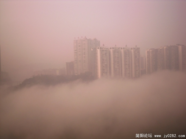 SDC15209.jpg