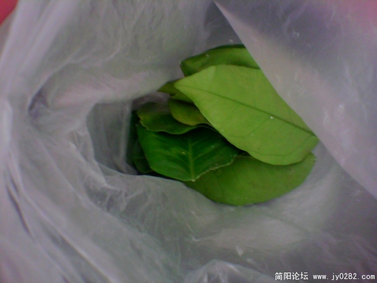 IMG0313A.jpg