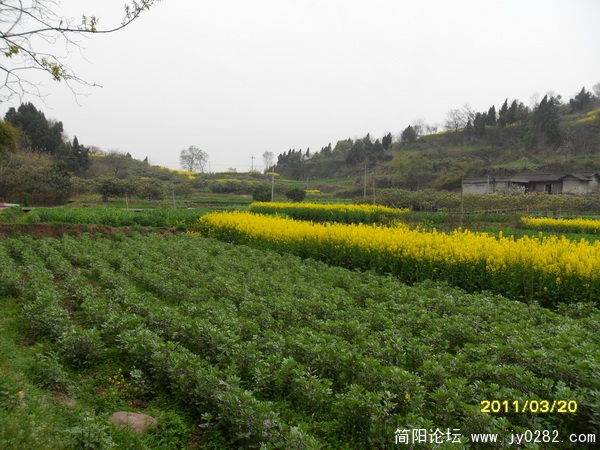 SAM_0742_调整大小.JPG