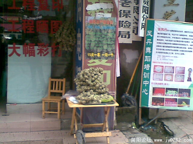 20110325(003).jpg