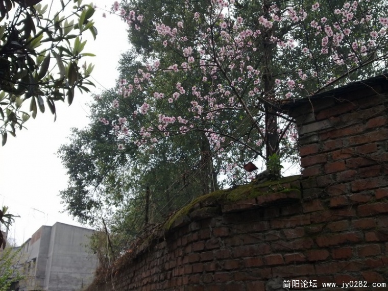 20110326133.jpg