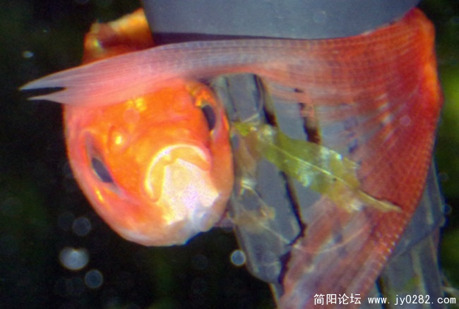 201103269248.jpg