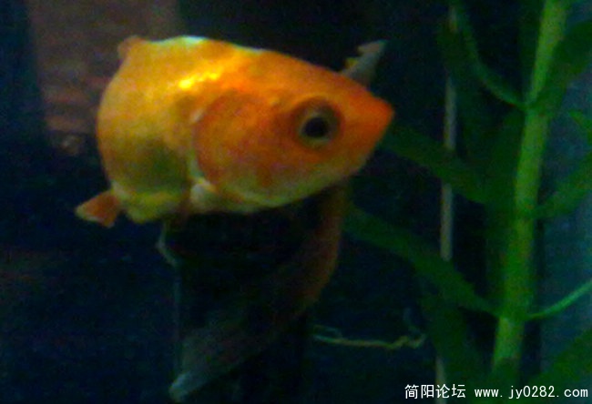 201103269253.jpg