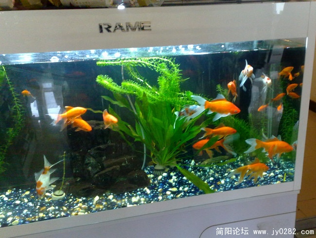 201103269254.jpg