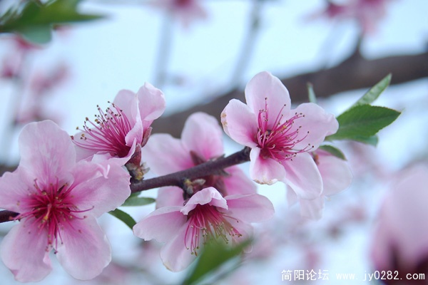 自行车游 (27).jpg