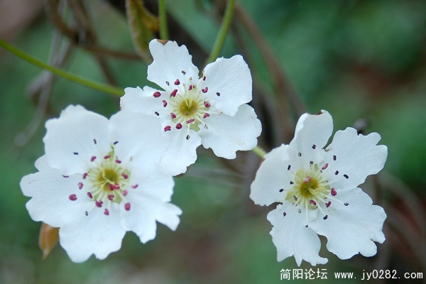 自行车游 (23).jpg