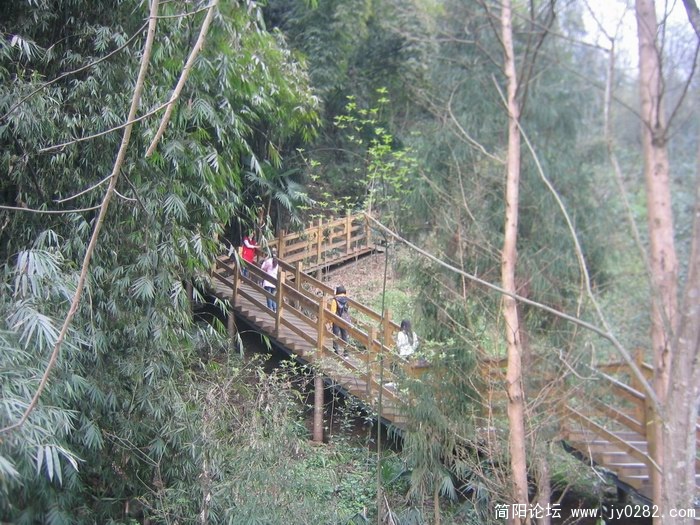 街子登山照片2011.3 043.jpg