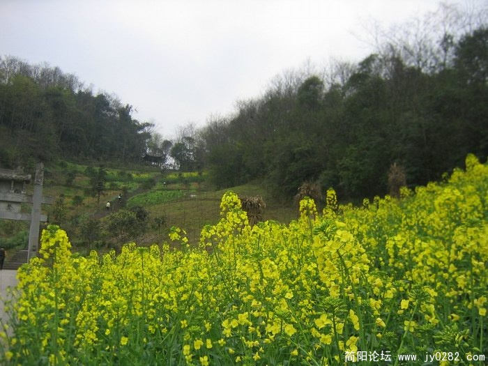 街子登山照片2011.3 052.jpg