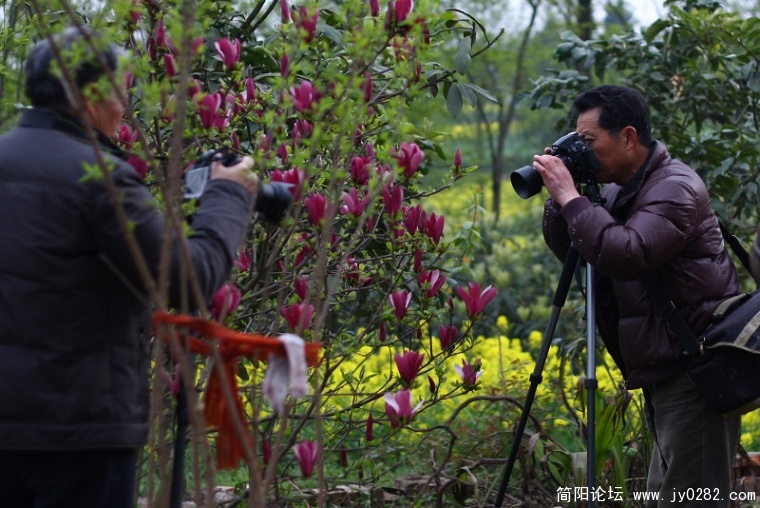 照片 164.jpg