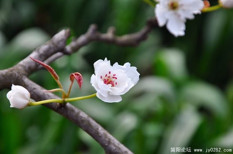 DSC_0073s.jpg
