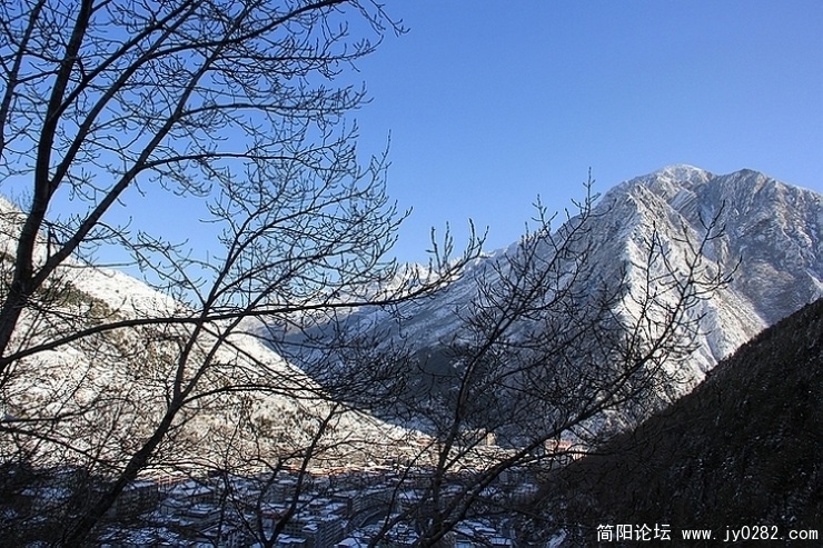 IMG_2921.jpg
