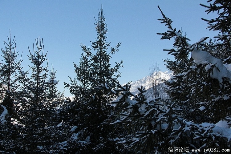 IMG_2931.jpg