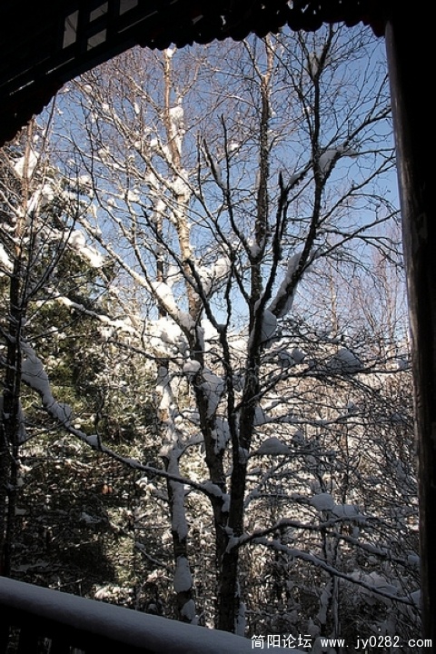 IMG_3063.jpg