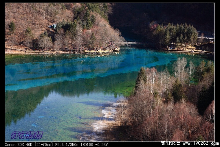 _MG_3721.jpg