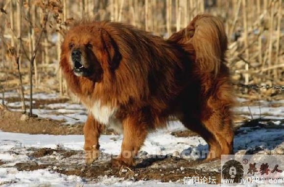 223051rrebja5ajrbbr8de[1].jpg