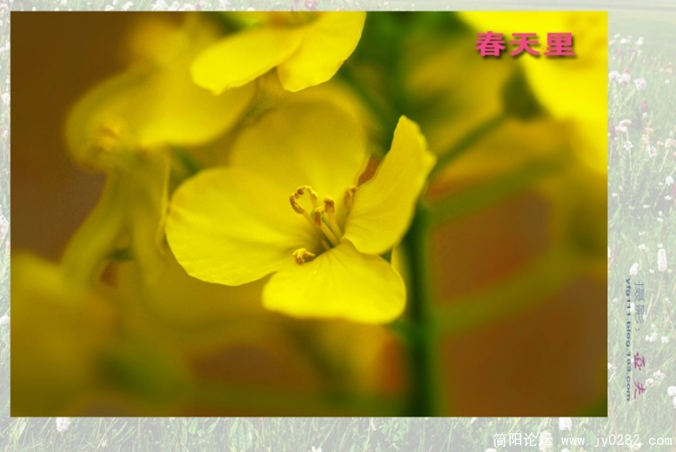 春天里（一）——02副本.jpg