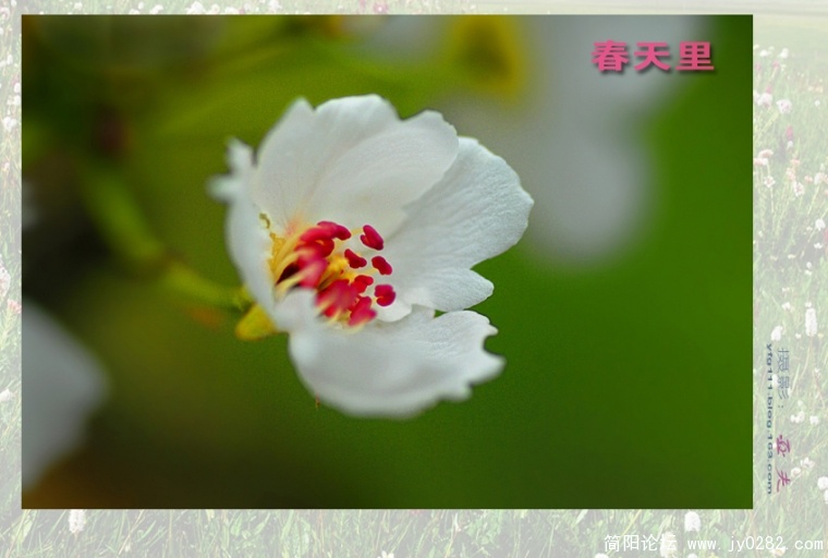 春天里（一）——07副本.jpg