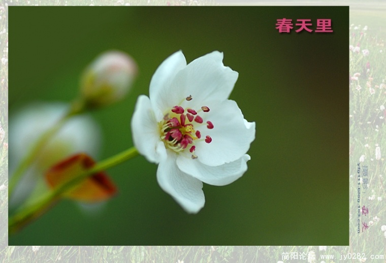 春天里（一）——05副本.jpg