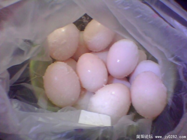 IMG0360A.jpg