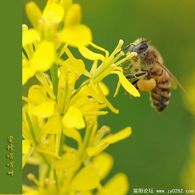 DSC_8706副本.jpg