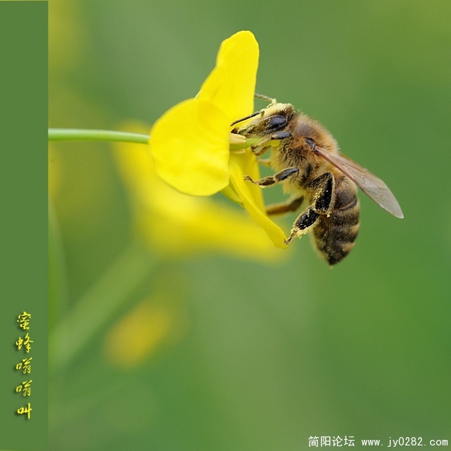 DSC_8671副本.jpg