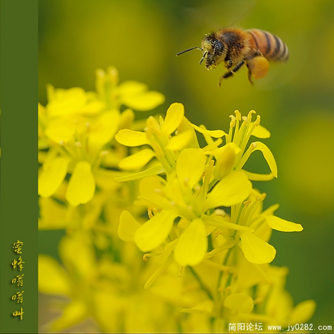DSC_8709副本.jpg