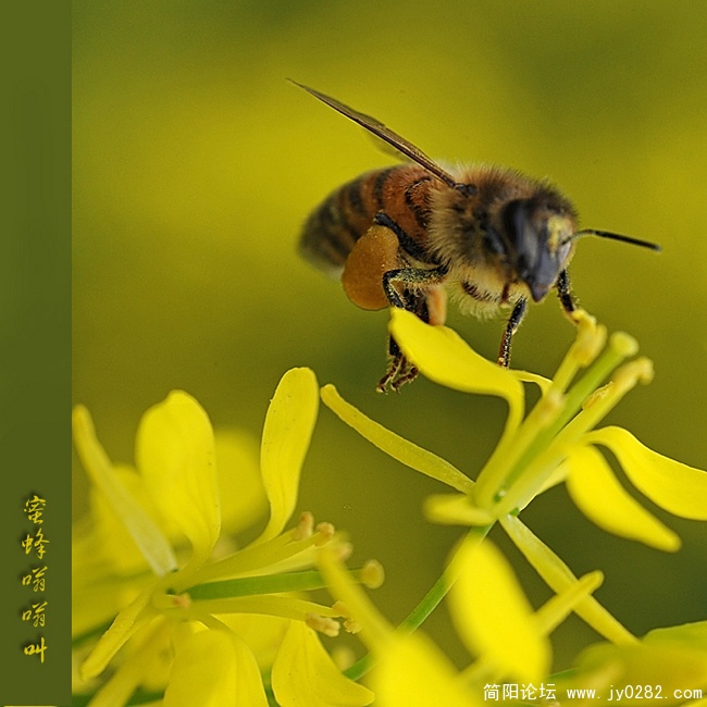 DSC_8729副本.jpg