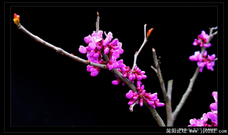 DSC_0433=副本.jpg