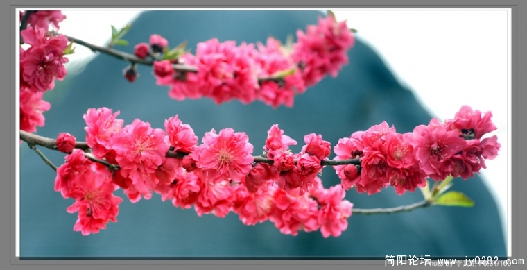 DSC_0449==副本.jpg