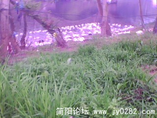 IMG0486A.jpg