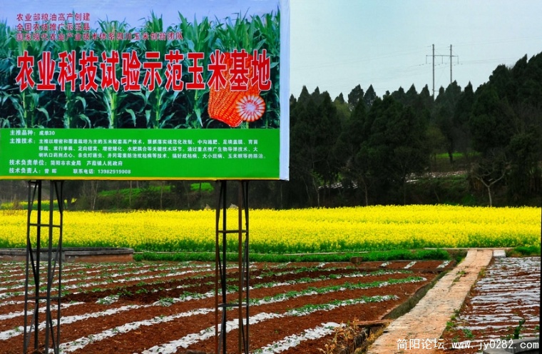DSC_0151  拷贝.jpg