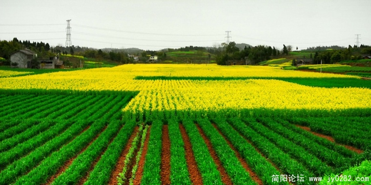 DSC_0181  拷贝.jpg