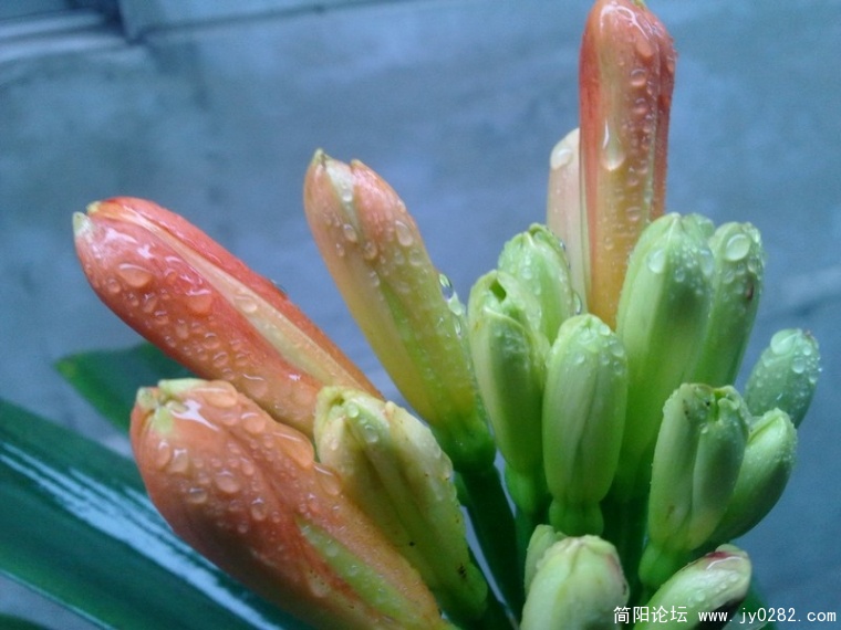 20110405164.jpg