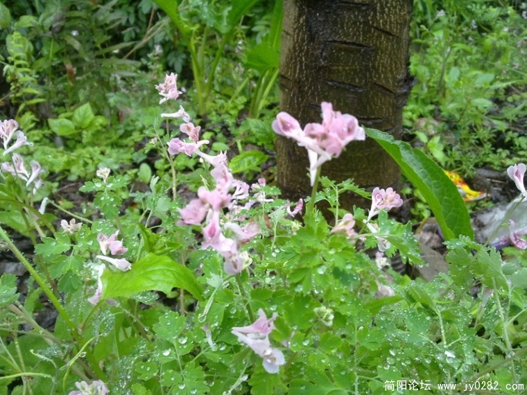 20110405169.jpg