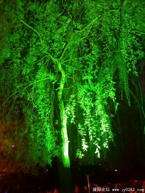 20110404159.jpg
