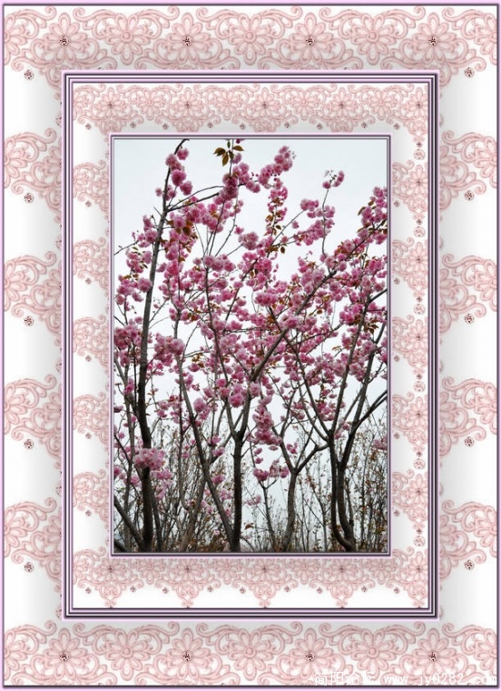 nEO_IMG_樱花节 (12).jpg