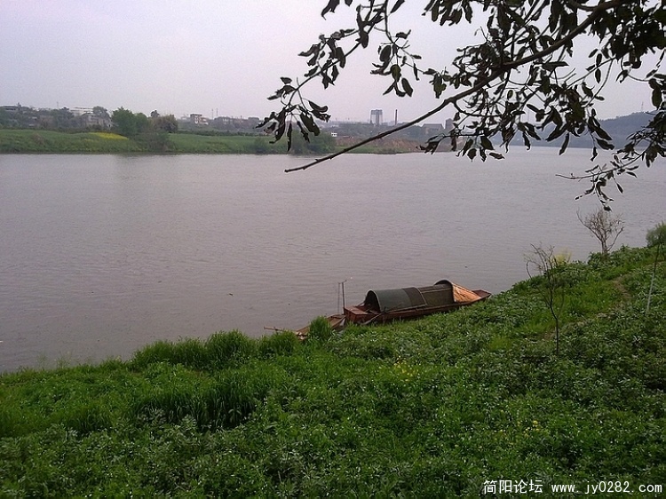 20110409557.jpg