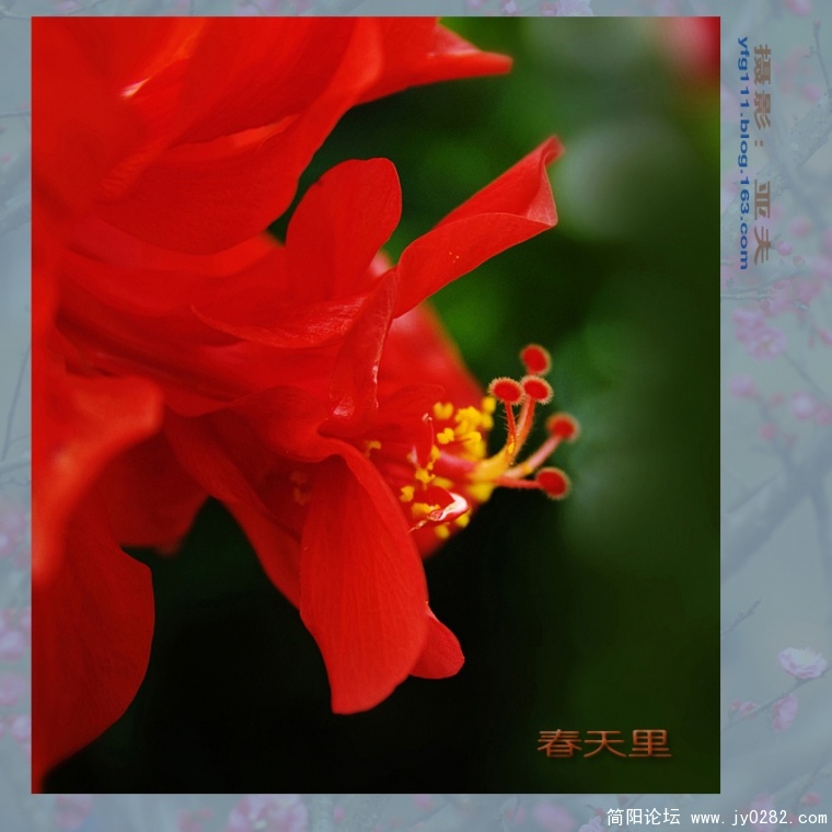 春天里（二）——07副本.jpg