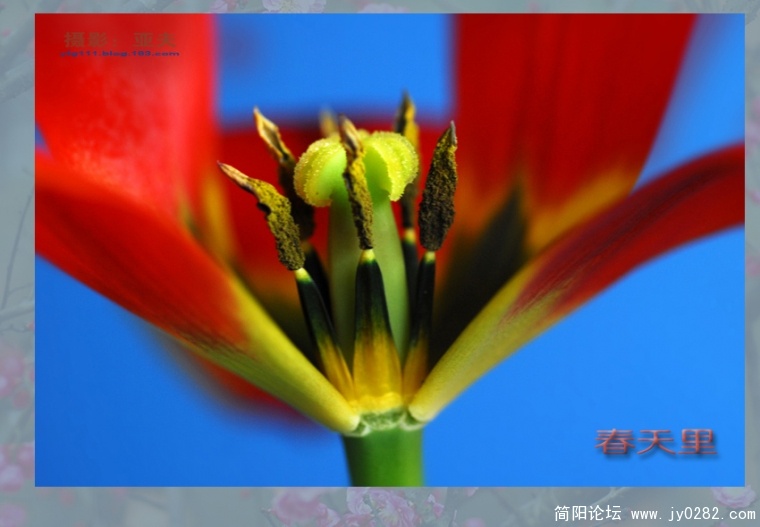 春天里（二）——14副本.jpg