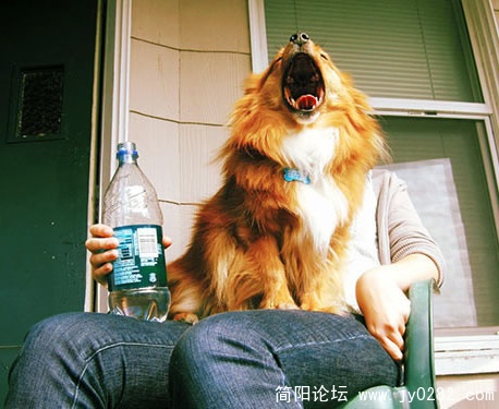 让人目瞪口呆的错位照.jpg