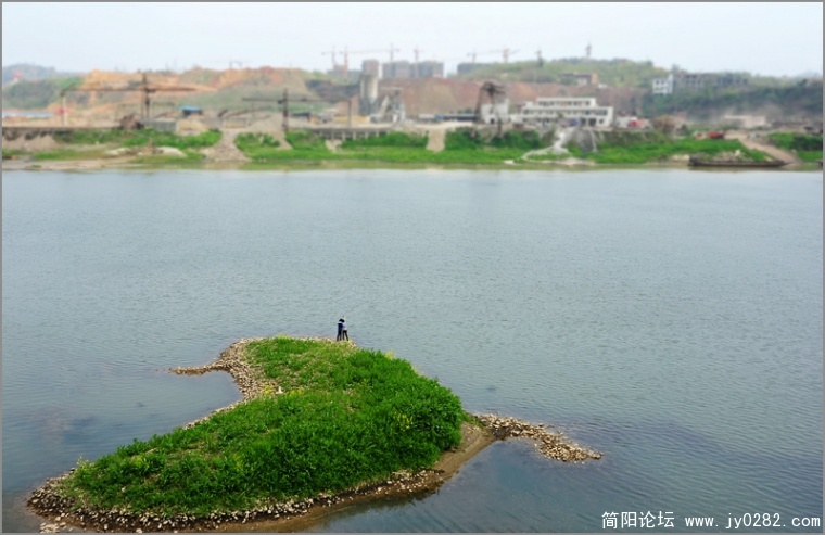游向彼岸.jpg