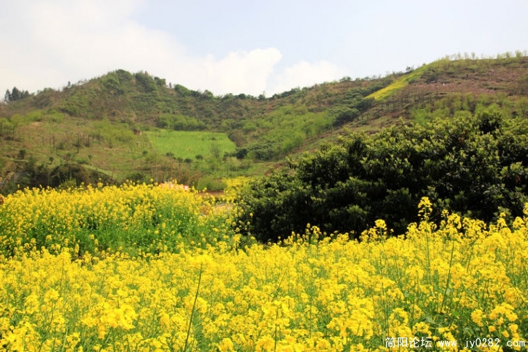 2011.0409摄于彭州葛仙山