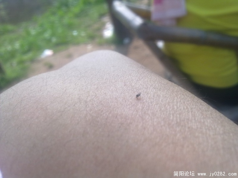 20110410241.jpg